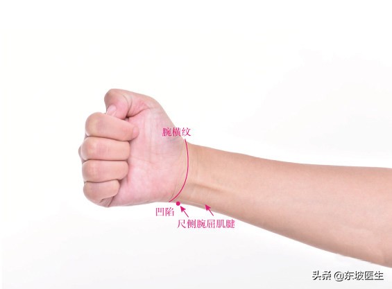 手少阴心经循行与主治,手少阴心经特殊穴位