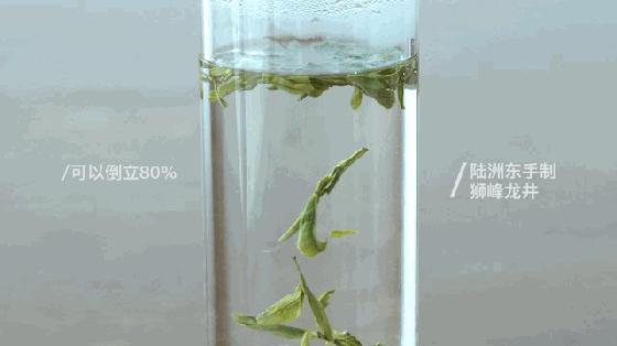会倒立的才是好绿茶？我们给你做了这个实验