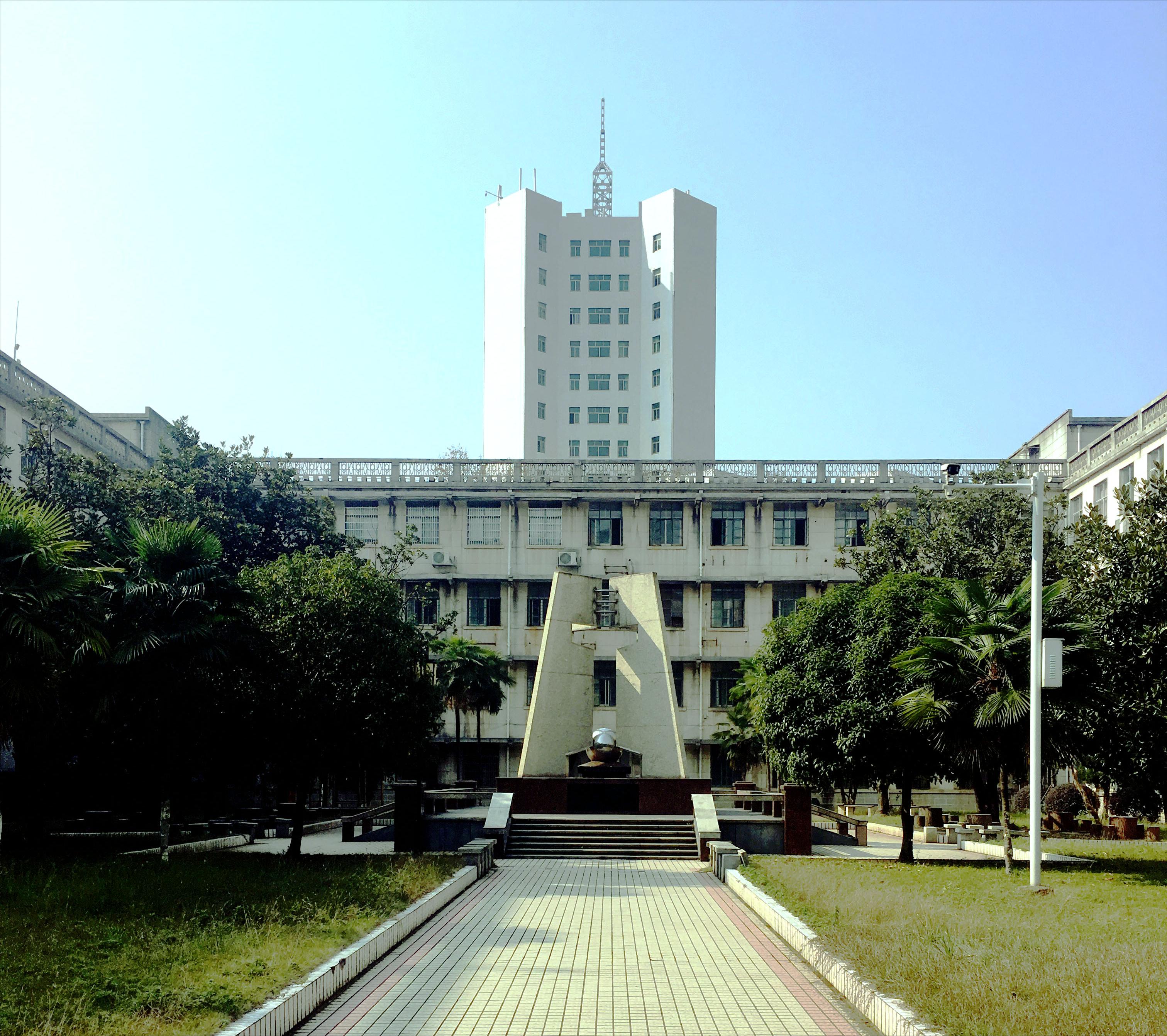 香樟往事电子版,香樟往事