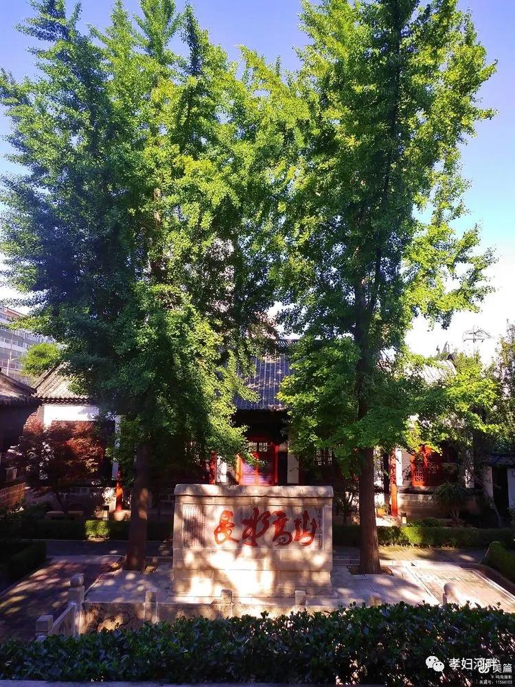 博山初夏风景图片,在博山公园藏着独特的宁静