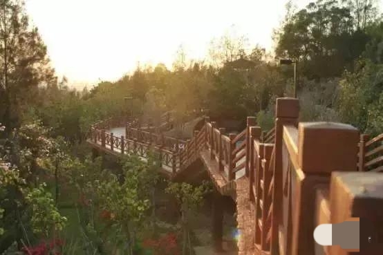 厦门香山有什么风景,厦门翔安必去8个景点香山