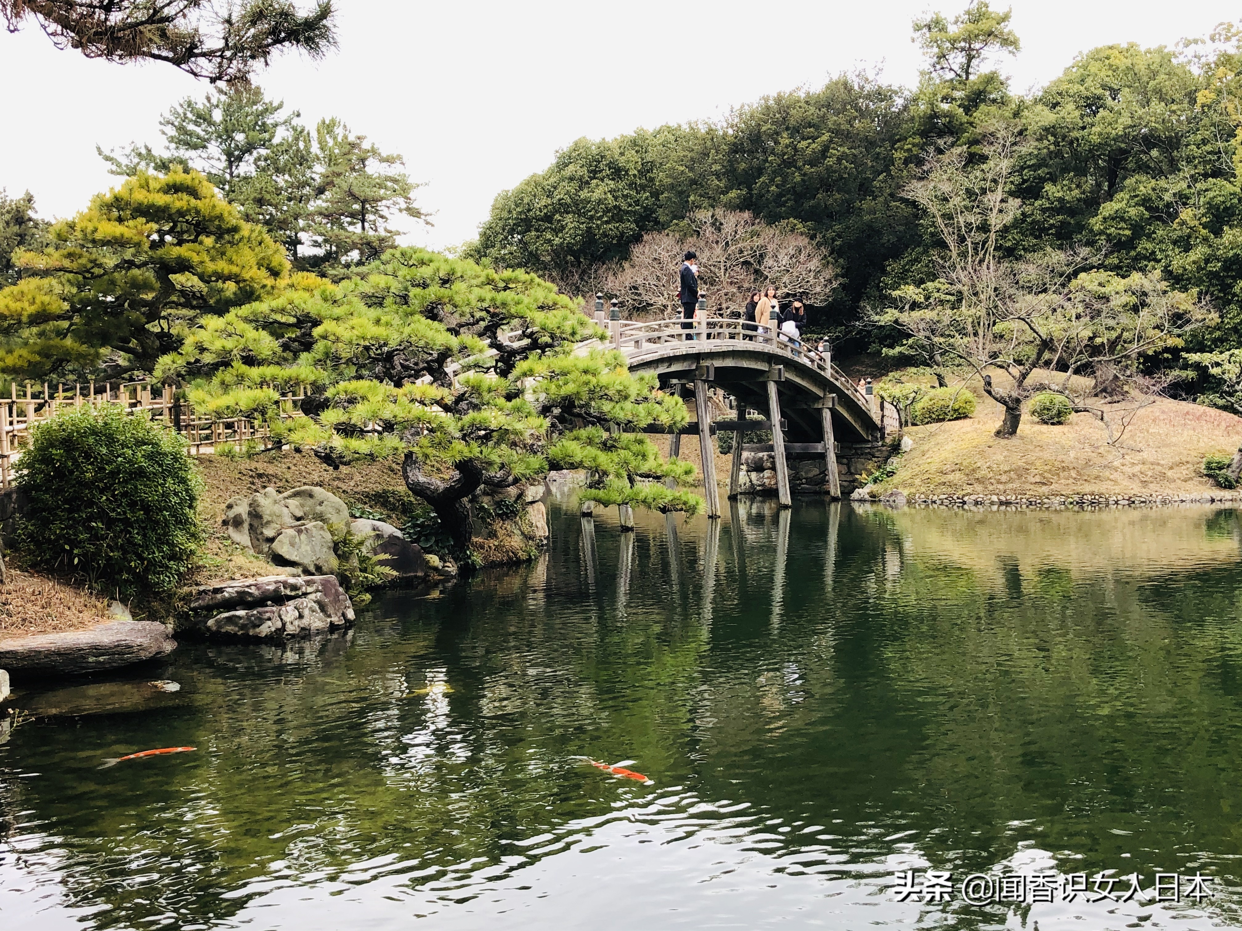 日本的米其林三星餐厅,日本米其林三星参观