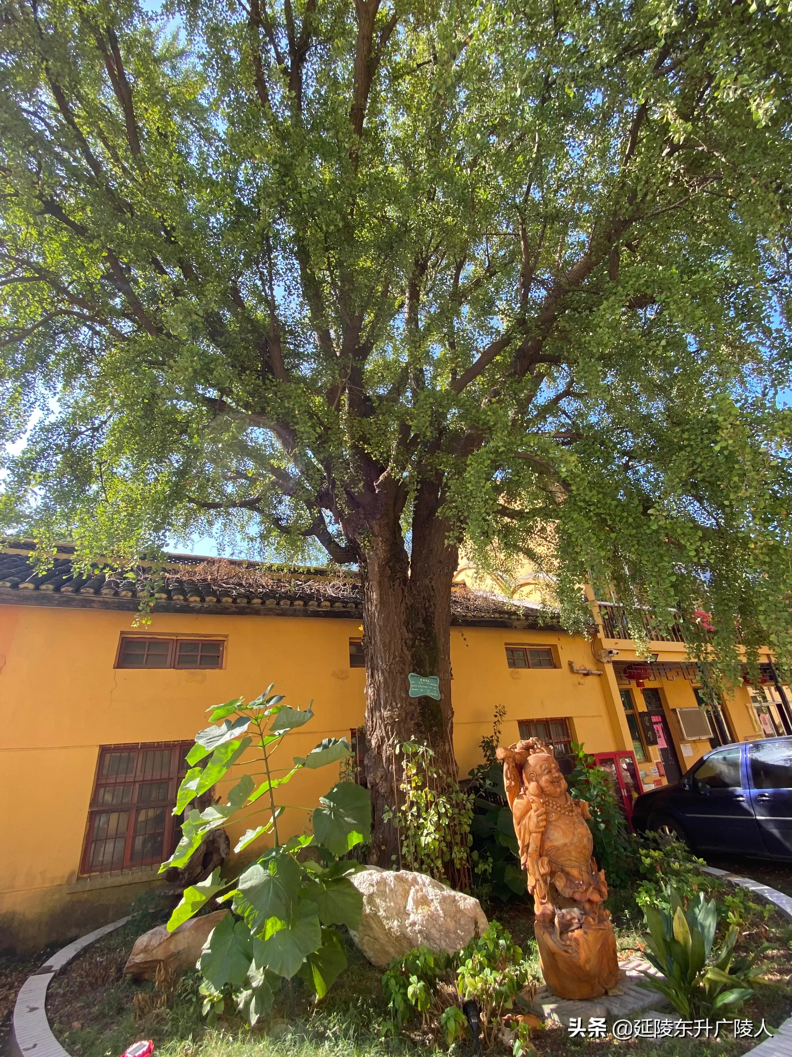 江苏有个千年古寺,江苏江阴苍山古寺