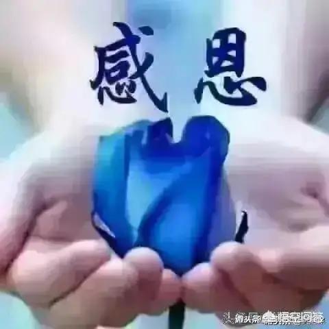 中华多宝退黑素,中华多宝牌褪黑素胶囊后遗症