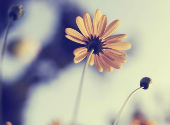 和小人纠缠,和小人一起纠缠你就输了