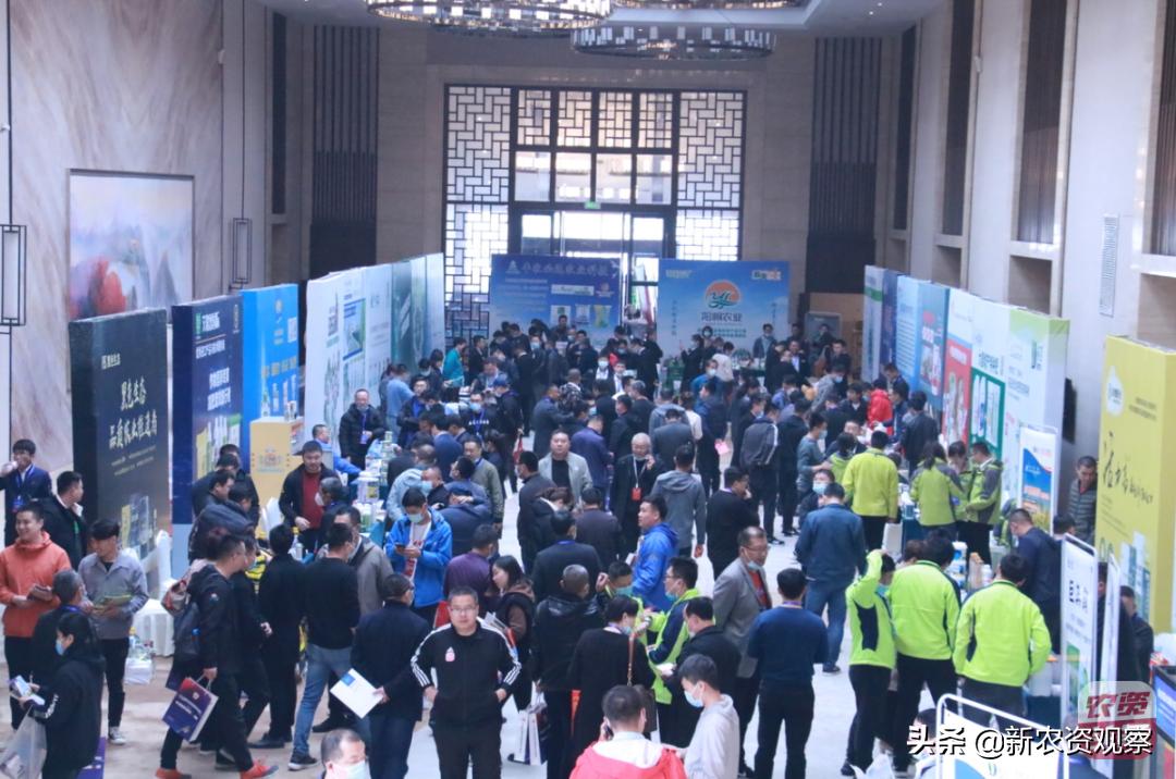 生姜栽培管理新技术,中国生姜栽培管理技术峰会