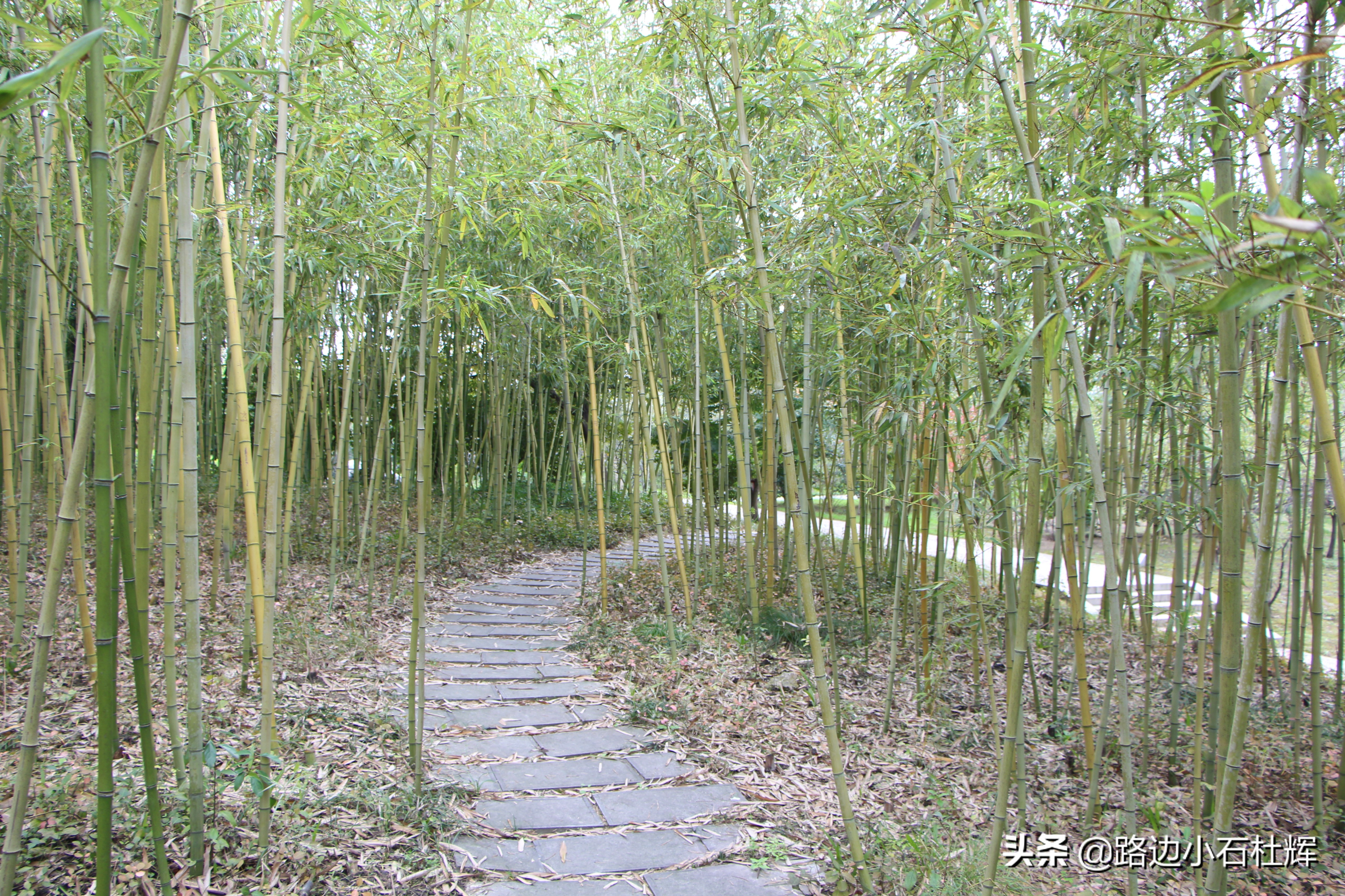 扬州瘦西湖之行,扬州瘦西湖游一圈