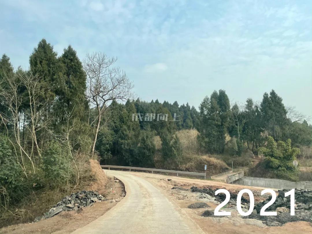 东部新区与天府新区,东部新区和天府新区