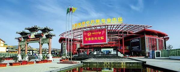 7月22日中药材市场快讯：玛咖、芡实、黄柏、八角茴香、砂仁