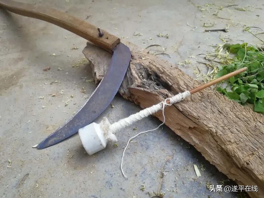 作家曹洋,遂平曹洋个人资料简介