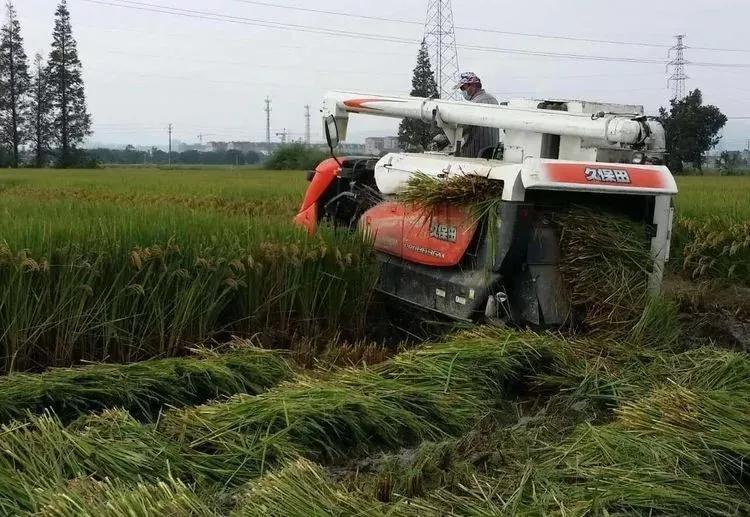 在农村创业九大赚钱项目,创业小项目农村小本创业门路推荐