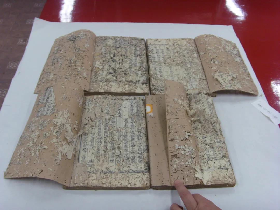 草堂册府蕴千华，琳琅古籍话传承