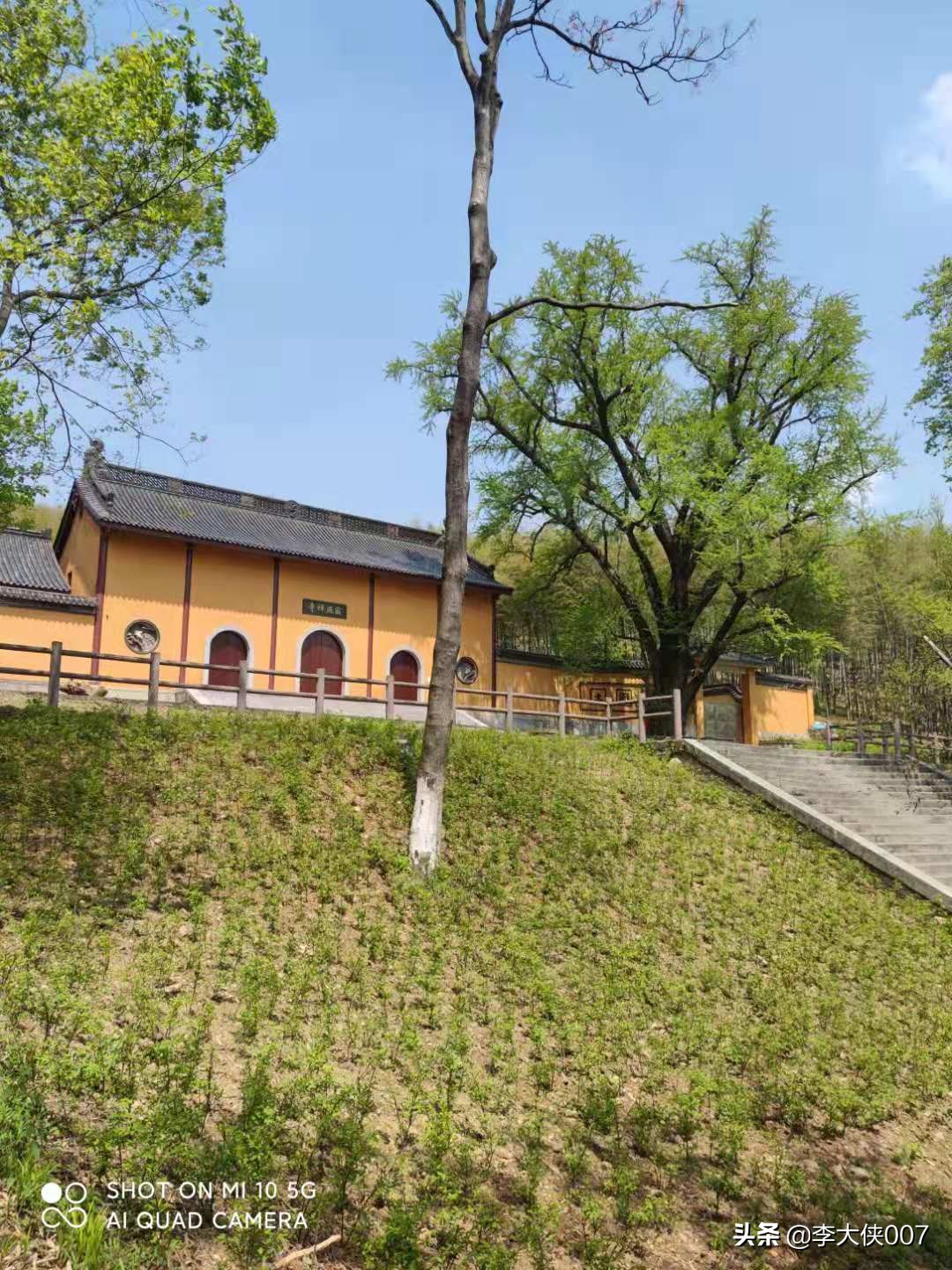 宜兴竹海游记,宜兴竹海攻略一日游自驾游