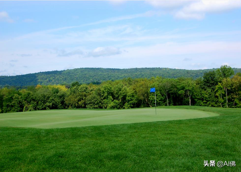 美国圆石滩高尔夫球场,美国高尔夫球场数量