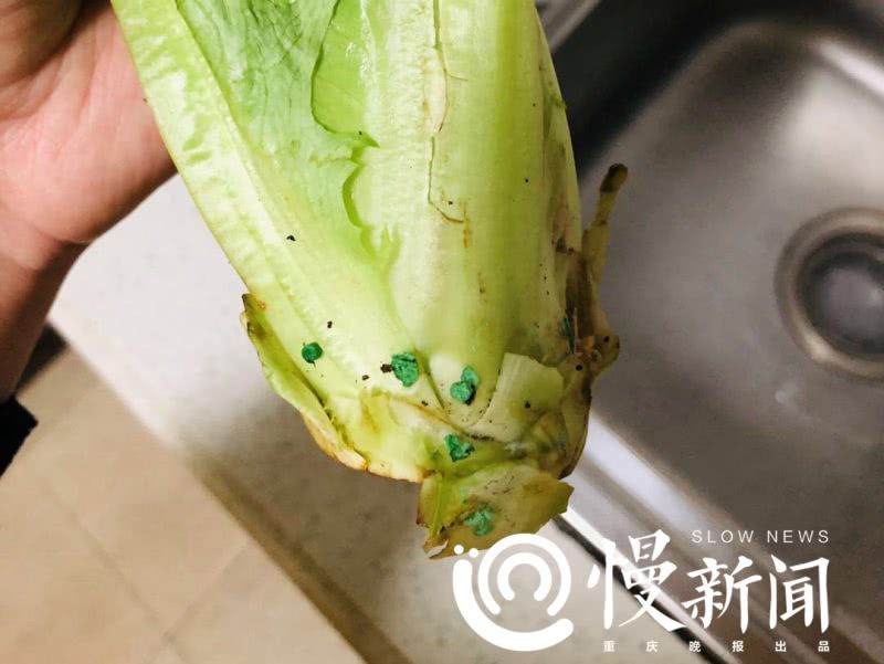 蔬菜上蓝色农药残留是啥,青菜叶上有蓝色东西是农药残留吗