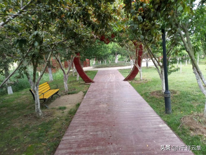 我的家乡商丘夏邑,夏邑又多一处美景有山有水还有花