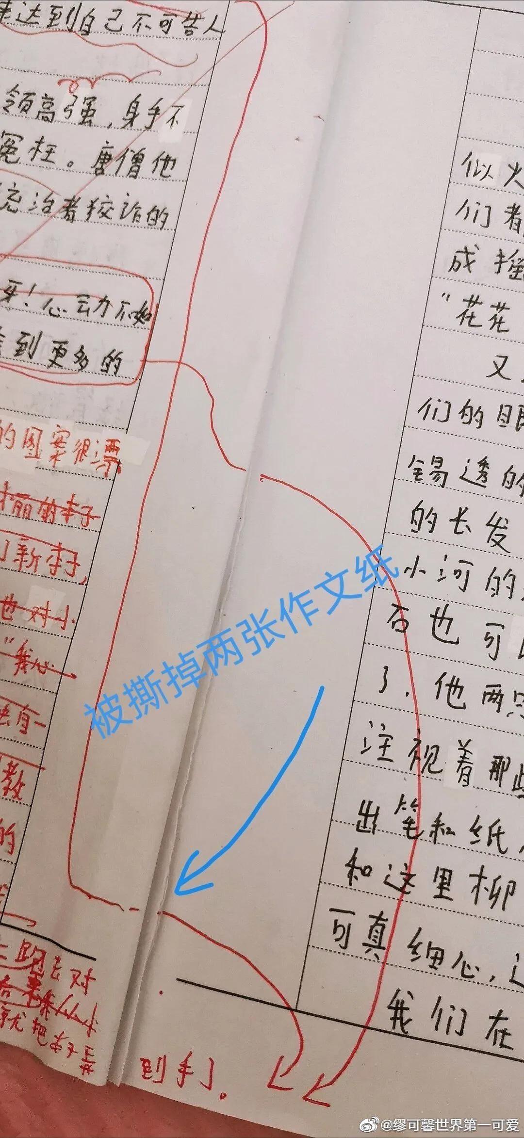 王振华花了10万元,请一个9岁女孩去酒店聊天?不知道你信不信,反正我是不信的