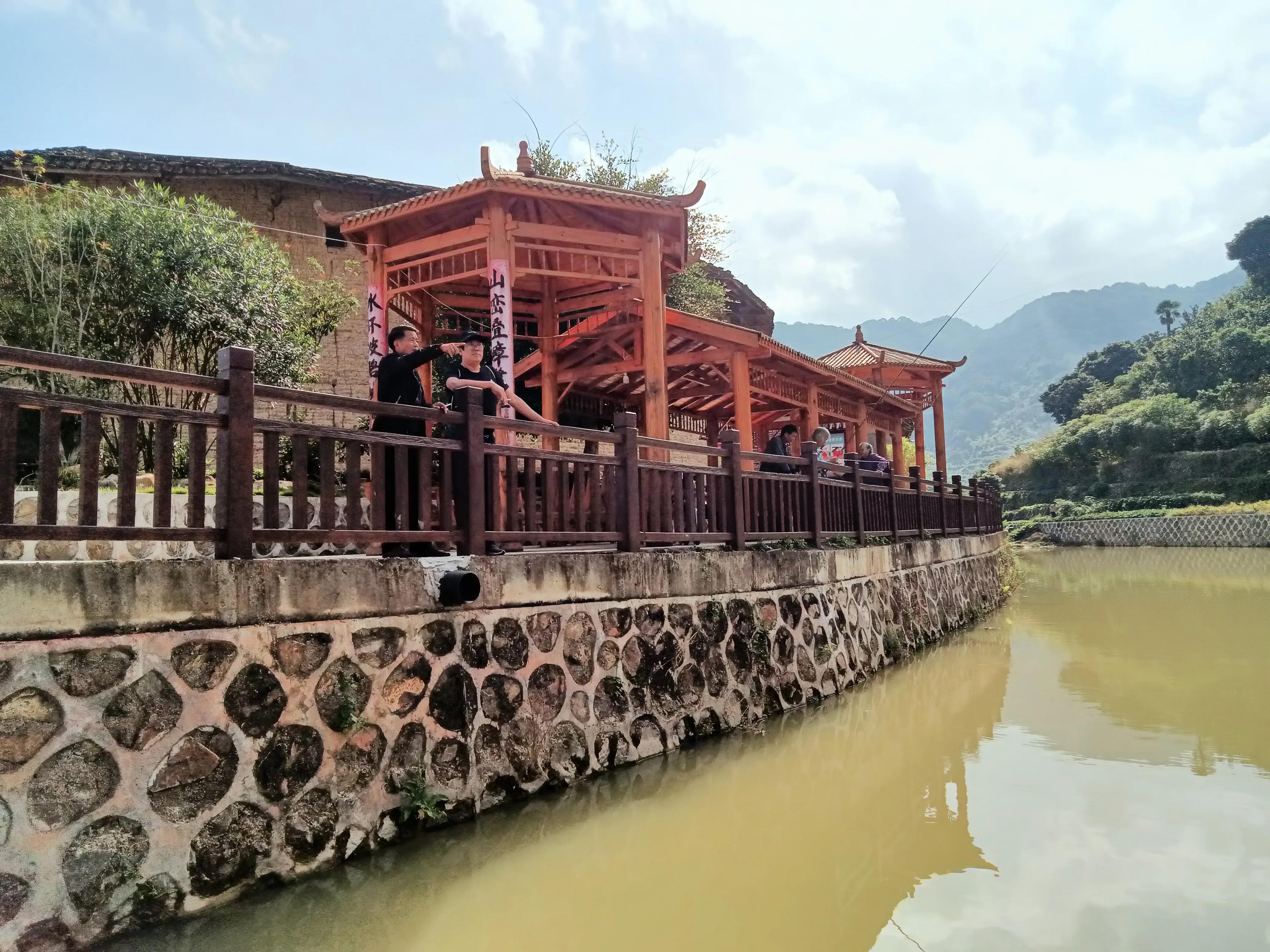 饶平三饶四方塘老榕树在哪里,榕树爷爷是合唱还是独唱