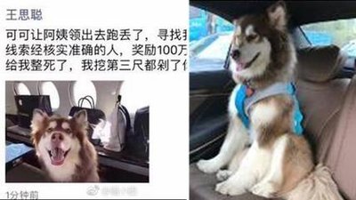 明星养小孩花多少钱,明星养孩子费用多少钱一个月