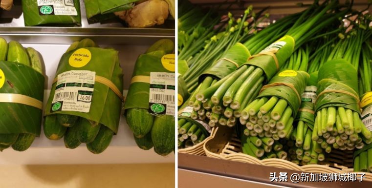 新加坡原装进口食品,在新加坡怎么进口食品