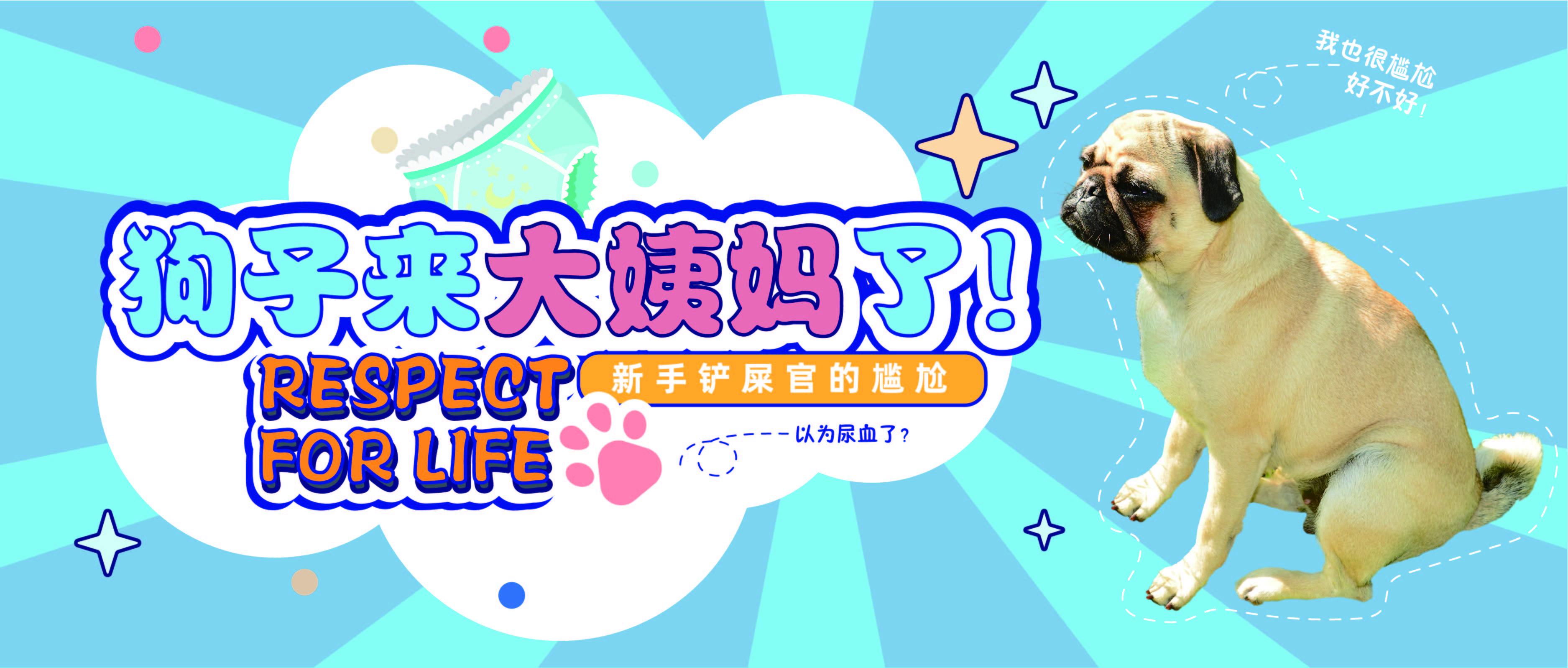 「护理」狗子来了大姨妈怎么办？