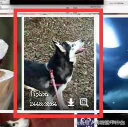 CSS3图片占位，解决页面布局跑位