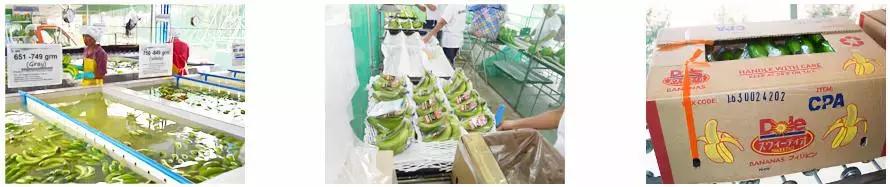 一根香蕉卖到天价,一根香蕉卖百万天价