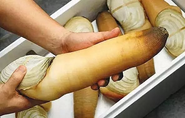 全吃过的是牛人，海边3种“野味”，一般人不敢吃，却是天下奇鲜