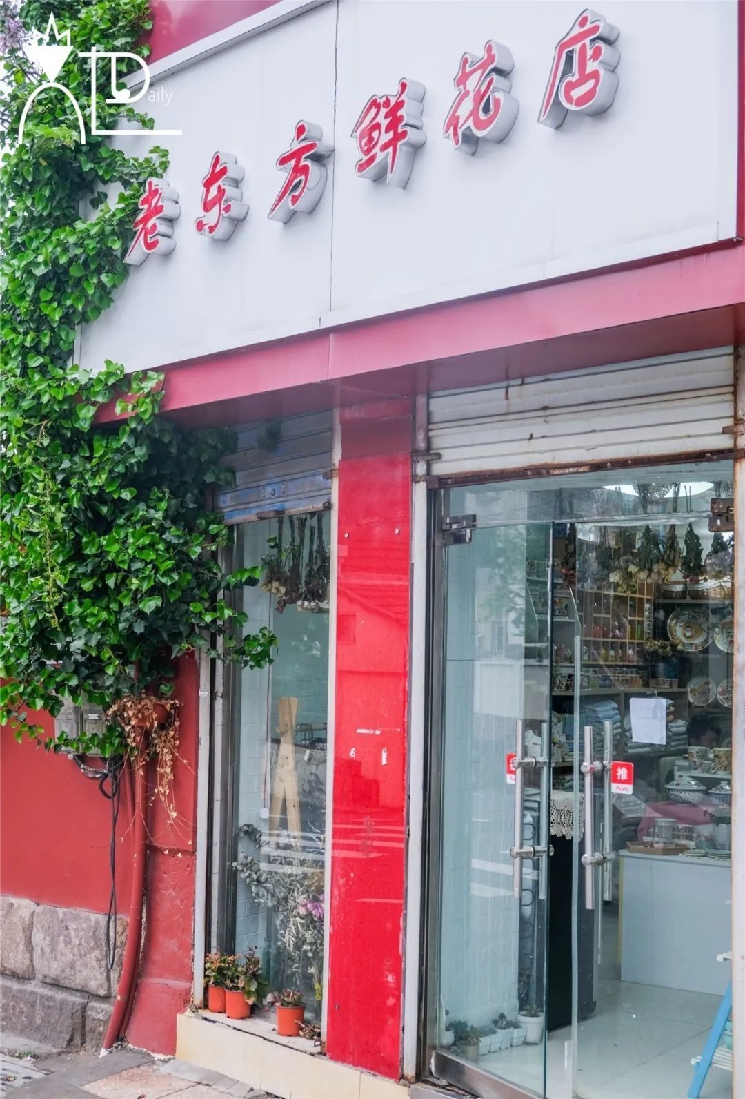 青岛陶瓷餐具哪里卖,青岛瓷器餐具店