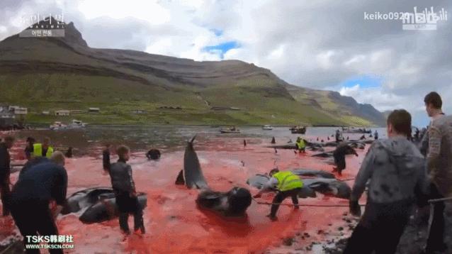 15岁怀孕,她被骗吃下*药炸**,一尸两命:有些人,这辈子不配为人