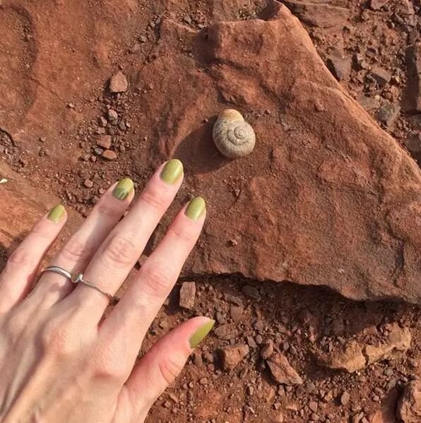 秋冬棕绿色,厌倦了红黄棕不妨来款高级感发色