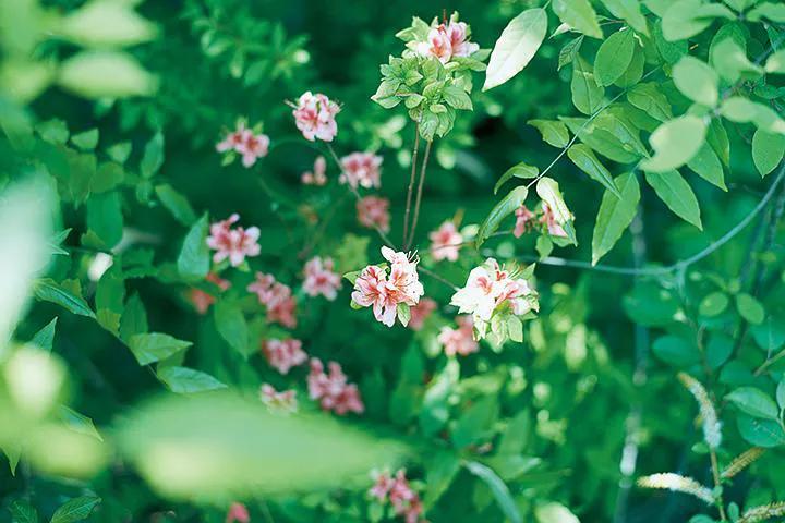 断过的绳子怎么系都有结,绳子断了再接回去终究会有个结