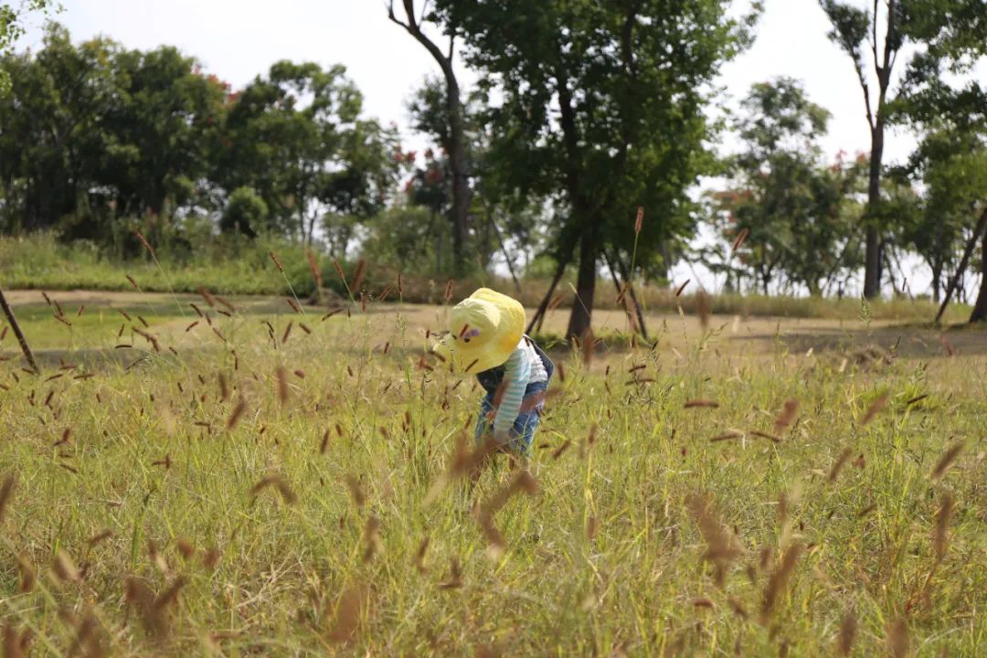 检察官高考多少分,检察官高考