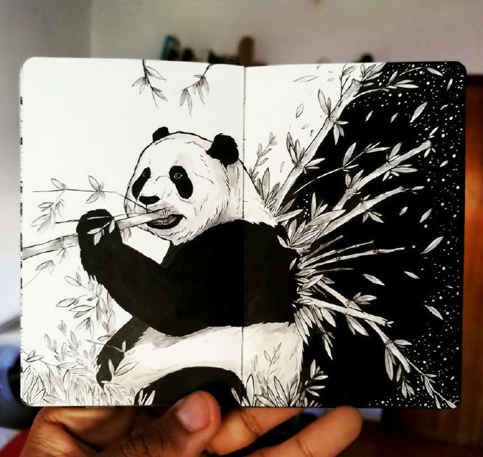 黑白手绘插画食物,黑白手绘插画怎么画