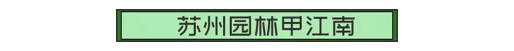 关于苏州的记忆,关于苏州城市记忆的诗句