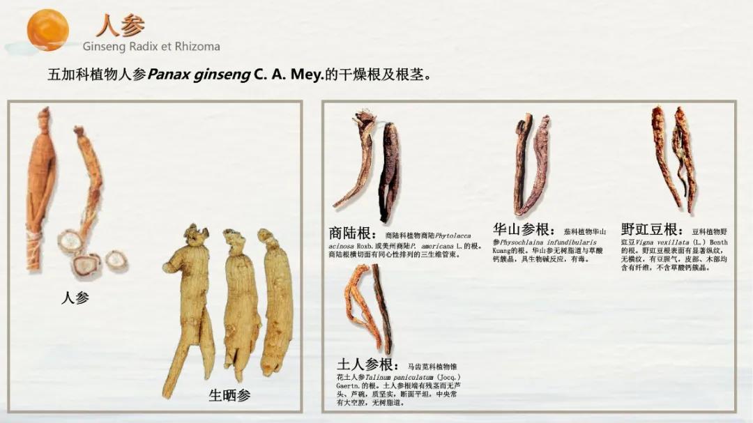 常见中药饮片假劣鉴别,中药饮片真伪鉴别