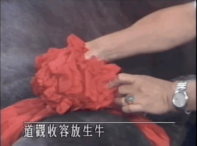 灵气逼人粤语在线看,灵气逼人粤语1080p