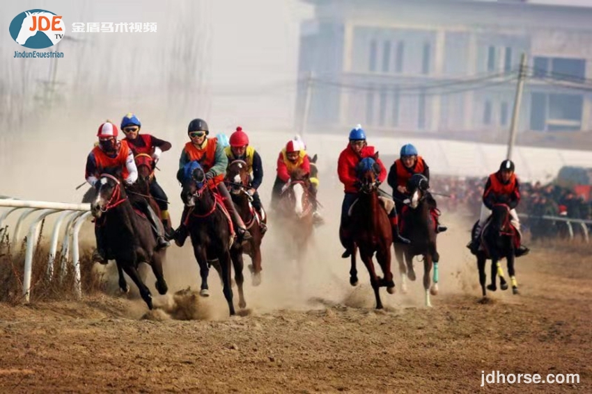 马术速度公开赛,2019年全国马术锦标赛