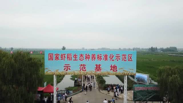 正确养殖小龙虾的方式,同样是养小龙虾你为啥会亏本