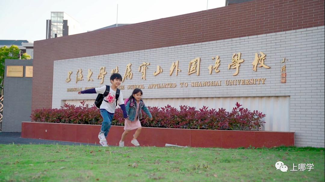 宝山教育洼地,教育洼地