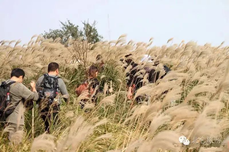 爬完所有雪山就释怀,爬完所有的名山