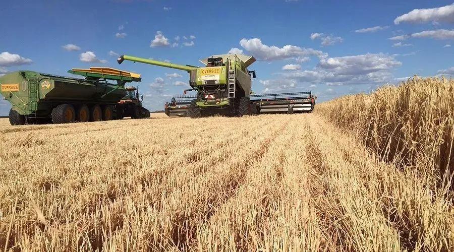 农业概况,中国农业基本现状