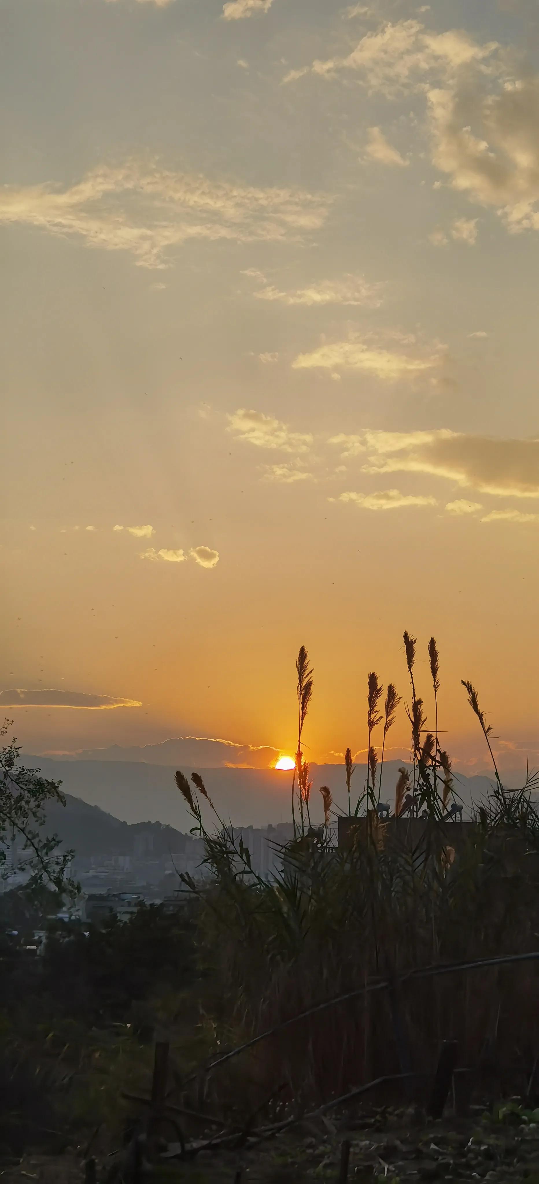高二理科生数学和物理太差怎么办,高二物理化学怎么逆袭