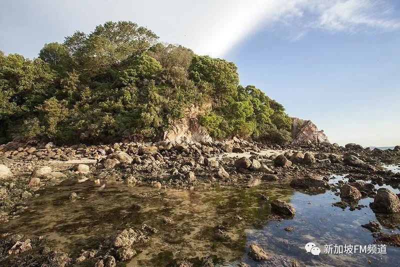 新加坡网红拍照店,新加坡网红点如何拍照