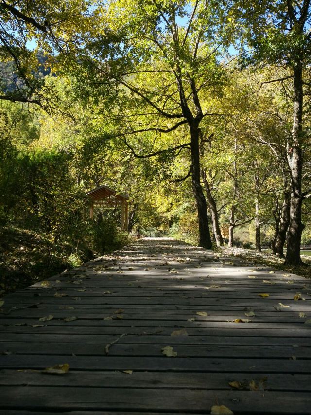 孟达天池风光拍摄,孟达天池适合旅游吗