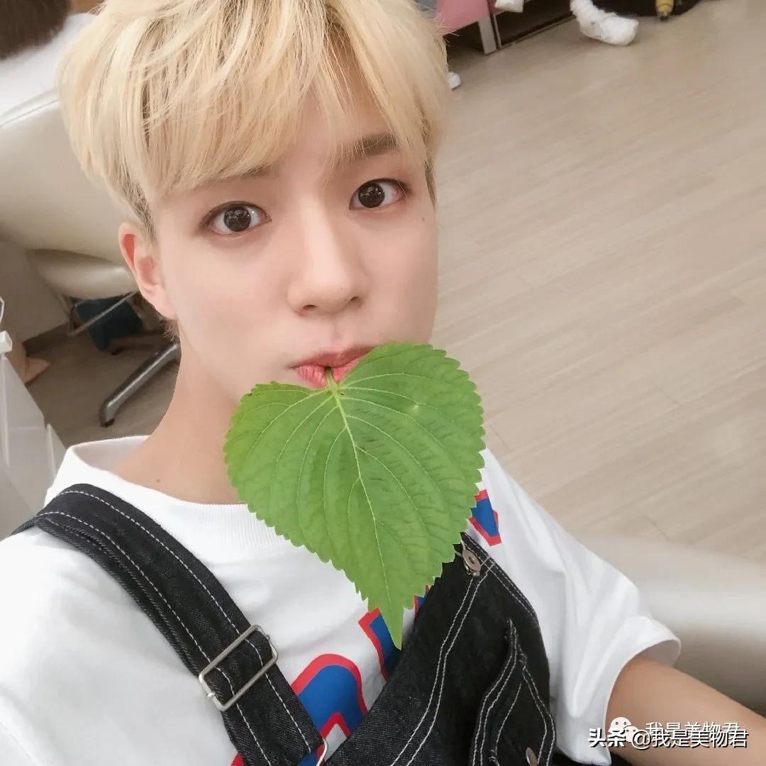 刘亦菲同款t恤,jennie香奈儿高定刘亦菲