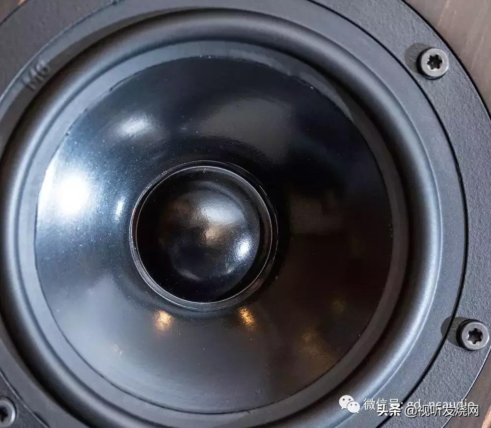 入门级也是高配置:AUDES(瑰丽)MAESTRO146落地式扬声器