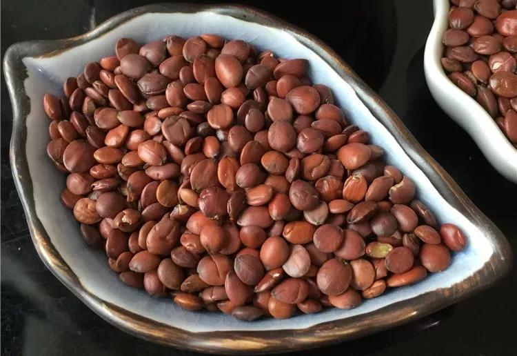 酸枣仁治失眠的药材,酸枣仁治失眠在哪些医书上有记载