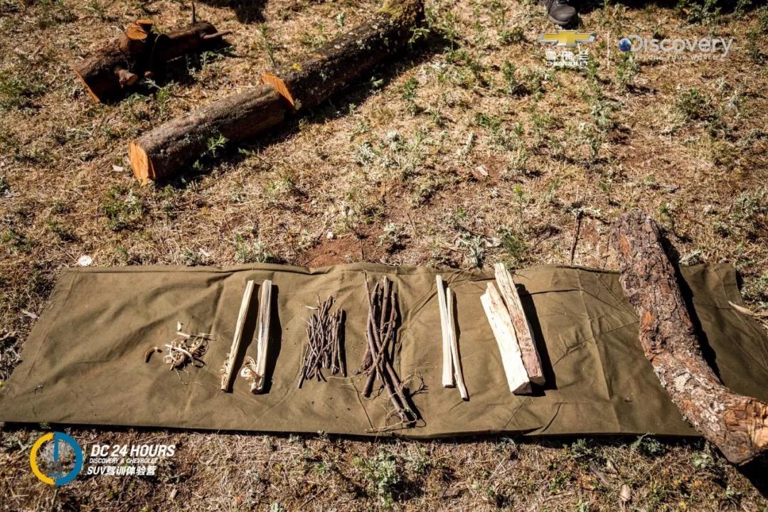 dc24h亲子训练营,dc训练半小时