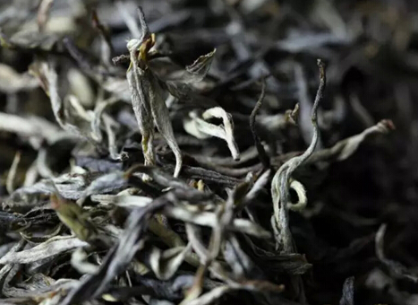 十大古树普洱茶排行榜最新,古树最好的普洱茶